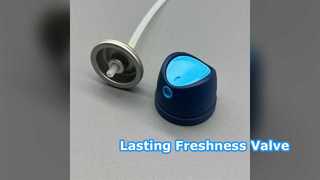 Vücut Püskürtme Valfi Kalıcı Tazelik