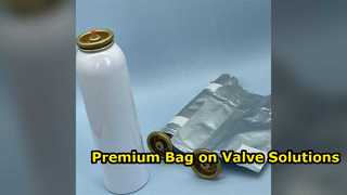 Alüminyum Aerosol Kutular için Valf Sistemlerinde Özel Torba