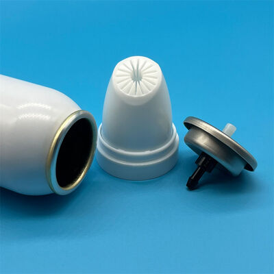 satın al Modern marka estetiği için zarif Minimalist Saç Mousse Aerosol Aksesuarı Çevrimiçi üretim