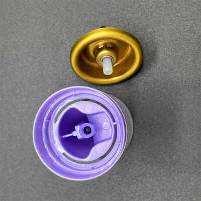 satın al Çevreye Duyarlı Aerosol Saç Mousse dağıtıcısı Yeşil Güzellik Markaları için Geri Dönüştürülebilir Bileşenlerle Çevrimiçi üretim